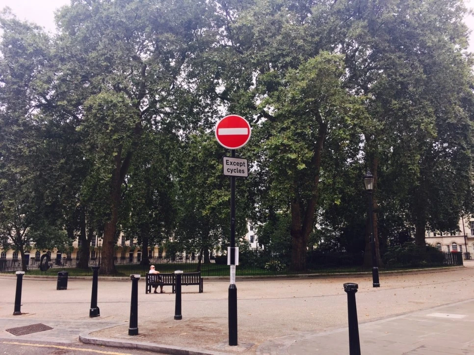 IMG_2512.JPG?type=w966