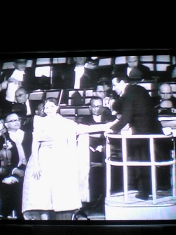 %B0%F8%BF%AC%C8%C4%C1%F6%C8%D6%C0%DA%BF%CD-carpediemer.jpg?type=w2