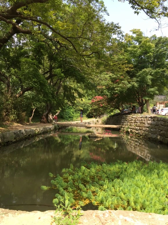 IMG_0980.JPG?type=w580