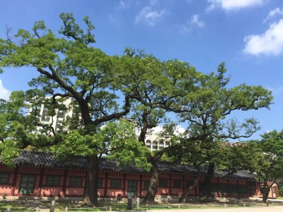 IMG_1273.JPG?type=w580