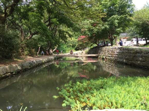 IMG_0981.JPG?type=w580