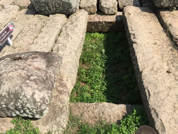 IMG_2319.JPG?type=w580