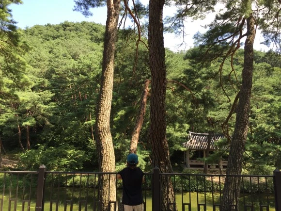 IMG_2505.JPG?type=w580