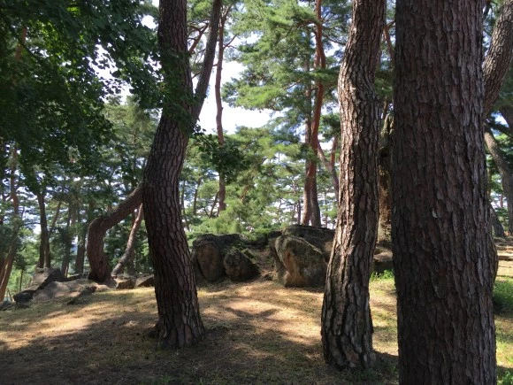 IMG_2508.JPG?type=w580