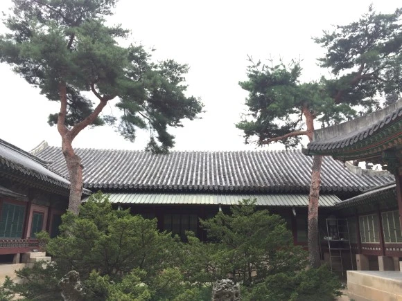 IMG_2963.JPG?type=w580