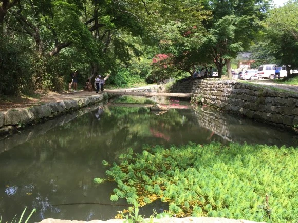 IMG_0978.JPG?type=w580