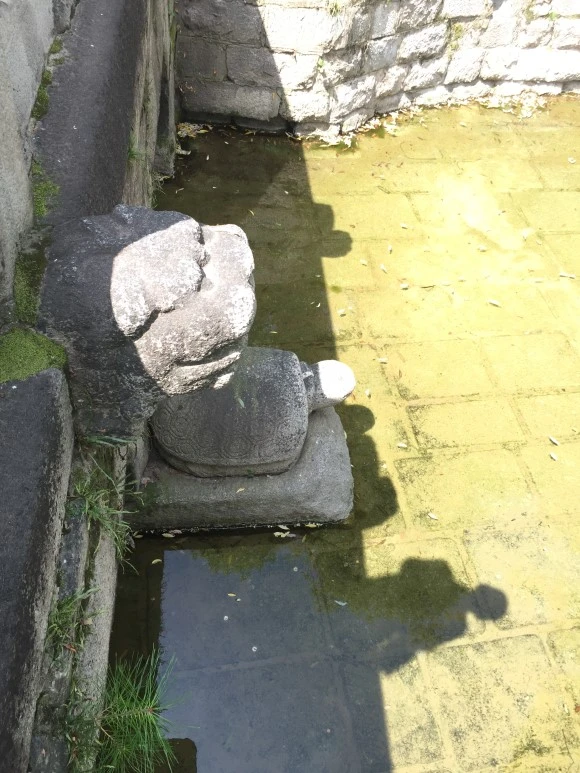 IMG_1318.JPG?type=w580