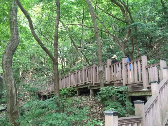 IMG_1105.JPG?type=w580