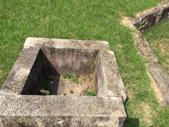 IMG_1734.JPG?type=w580