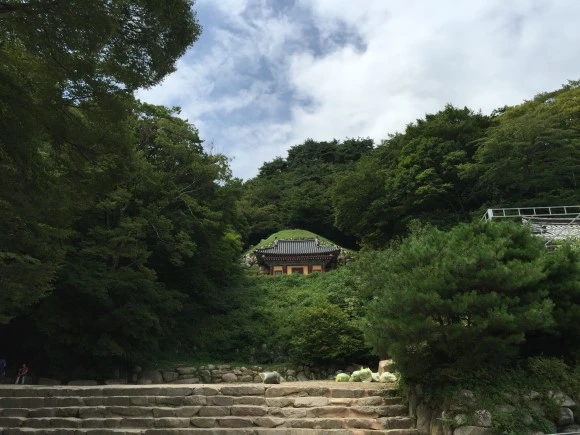 IMG_2226.JPG?type=w580