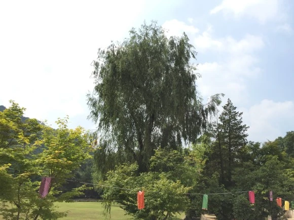 IMG_1622.JPG?type=w580