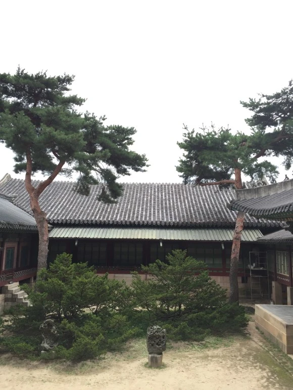 IMG_2968.JPG?type=w580