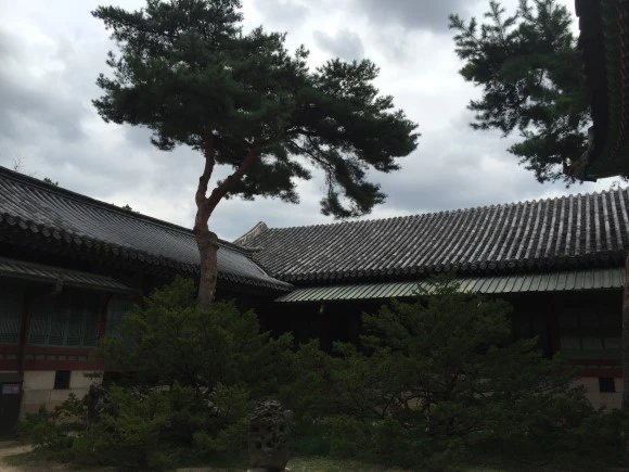 IMG_2969.JPG?type=w580