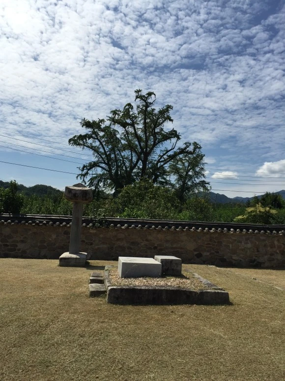 IMG_2487.JPG?type=w580