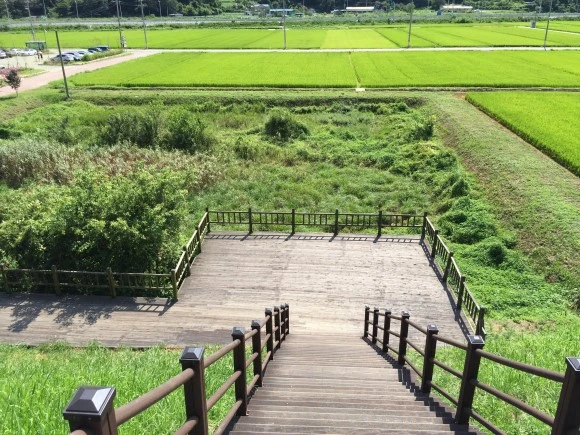 IMG_2331.JPG?type=w580