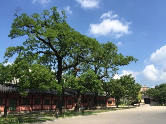 IMG_1272.JPG?type=w580