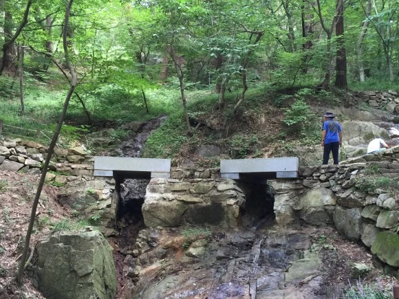 IMG_0977.JPG?type=w580