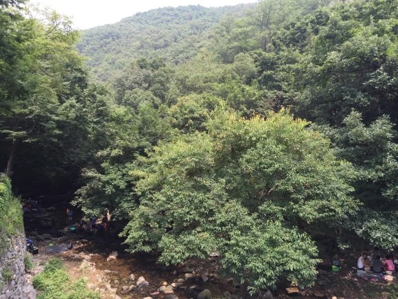 IMG_1103.JPG?type=w580