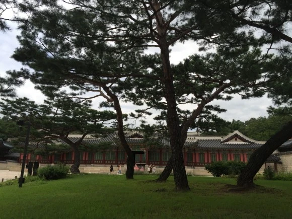 IMG_3089.JPG?type=w580