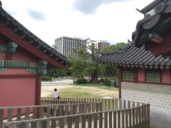 IMG_2823.JPG?type=w580