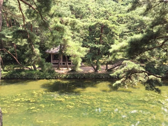 IMG_2501.JPG?type=w580