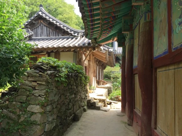 IMG_0997.JPG?type=w580