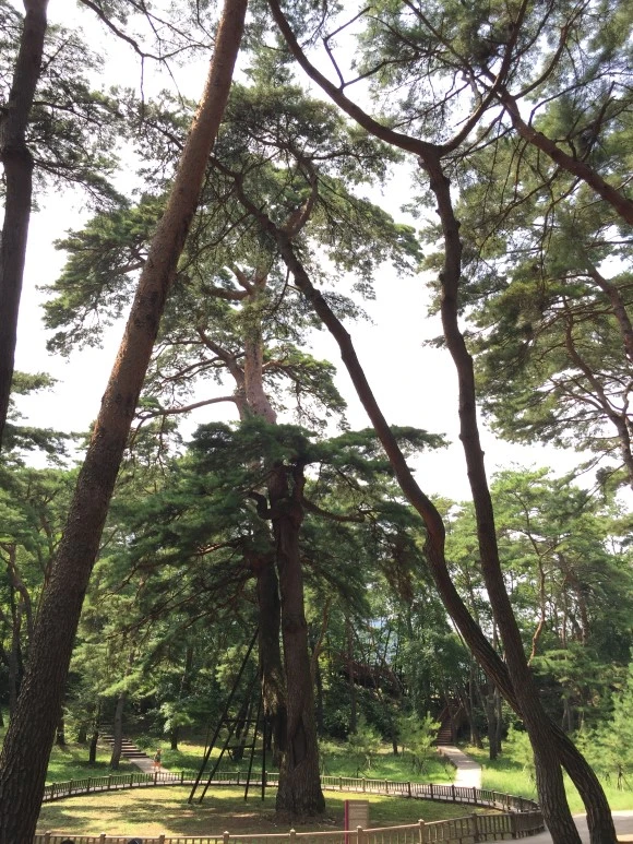 IMG_1606.JPG?type=w580