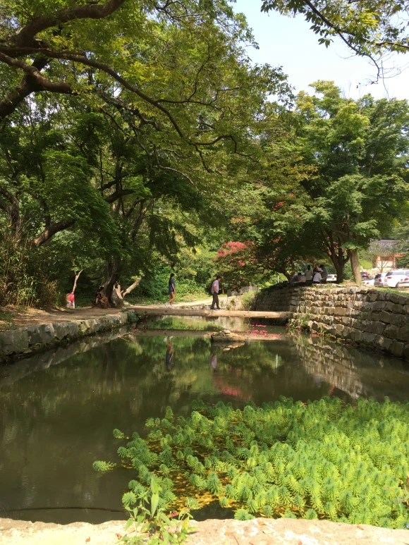 IMG_0979.JPG?type=w580