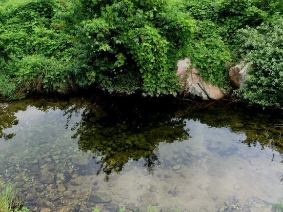 image_522028541471394109643.jpg?type=w580