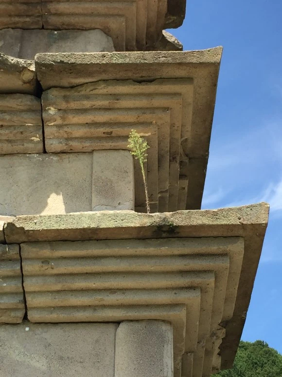 IMG_2311.JPG?type=w580