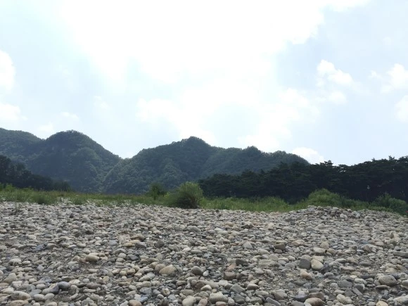 IMG_1584.JPG?type=w580