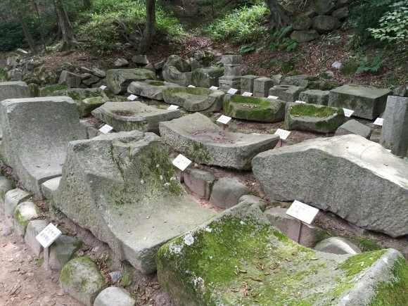 IMG_2235.JPG?type=w580