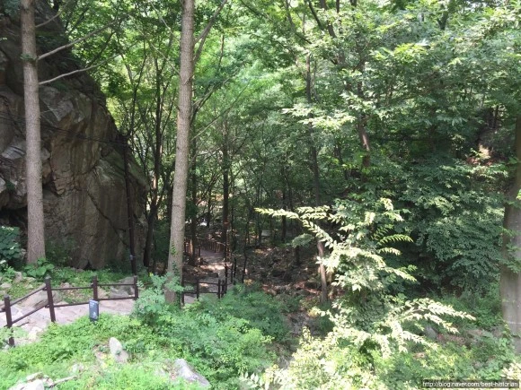 image_2298164581471440549253.jpg?type=w580