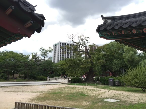 IMG_2824.JPG?type=w580