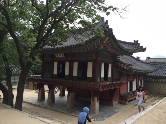 IMG_3008.JPG?type=w580