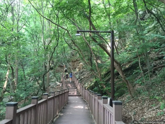 image_3503861971471440549267.jpg?type=w580