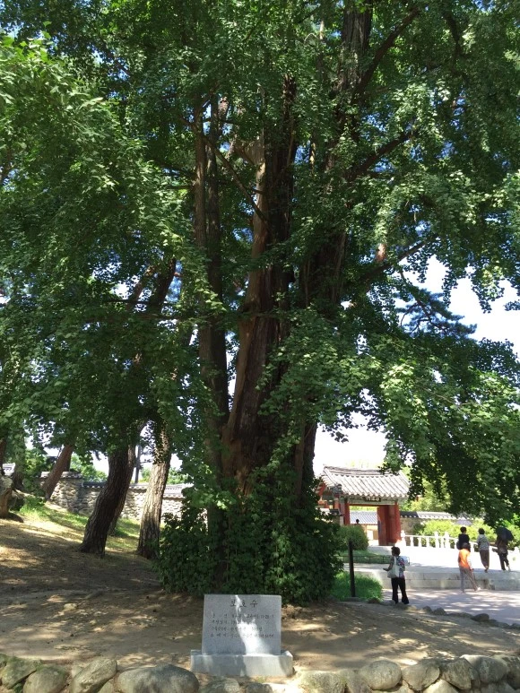 IMG_2503.JPG?type=w580