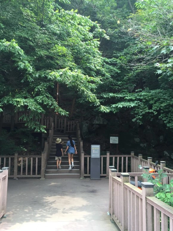 IMG_1104.JPG?type=w580