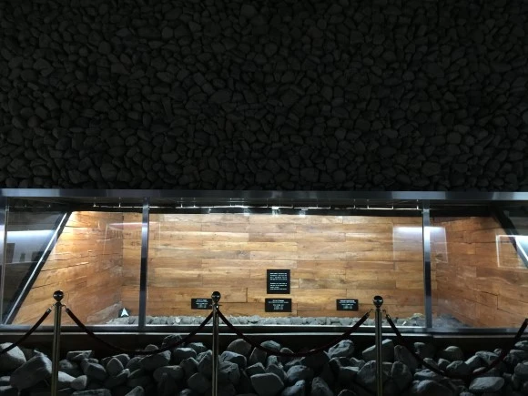 IMG_2385.JPG?type=w580