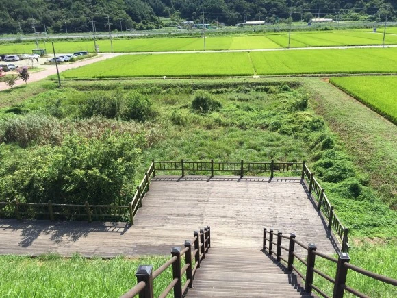 IMG_2332.JPG?type=w580