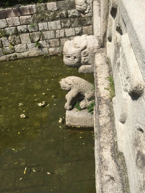 IMG_1317.JPG?type=w580