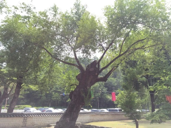 IMG_1620.JPG?type=w580