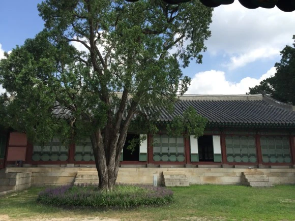 IMG_1299.JPG?type=w580