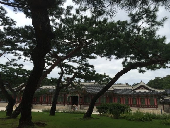 IMG_3088.JPG?type=w580