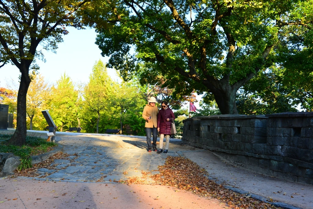 복사본03 - 복사본.JPG