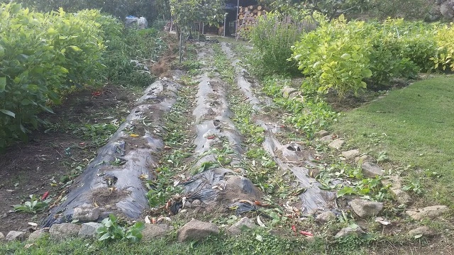 99BBC53359DE9C56112514