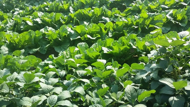 9930FE3359DE9C06182591