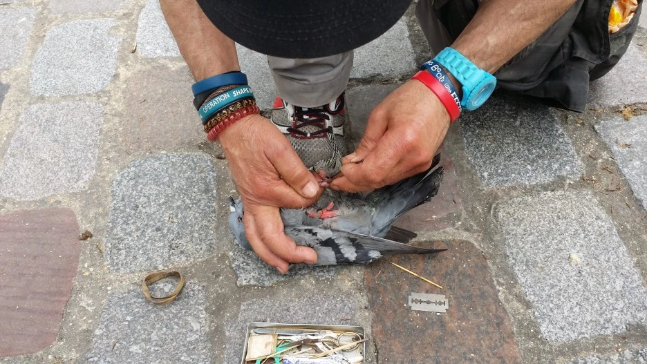 20160511_101927.jpg?type=w1