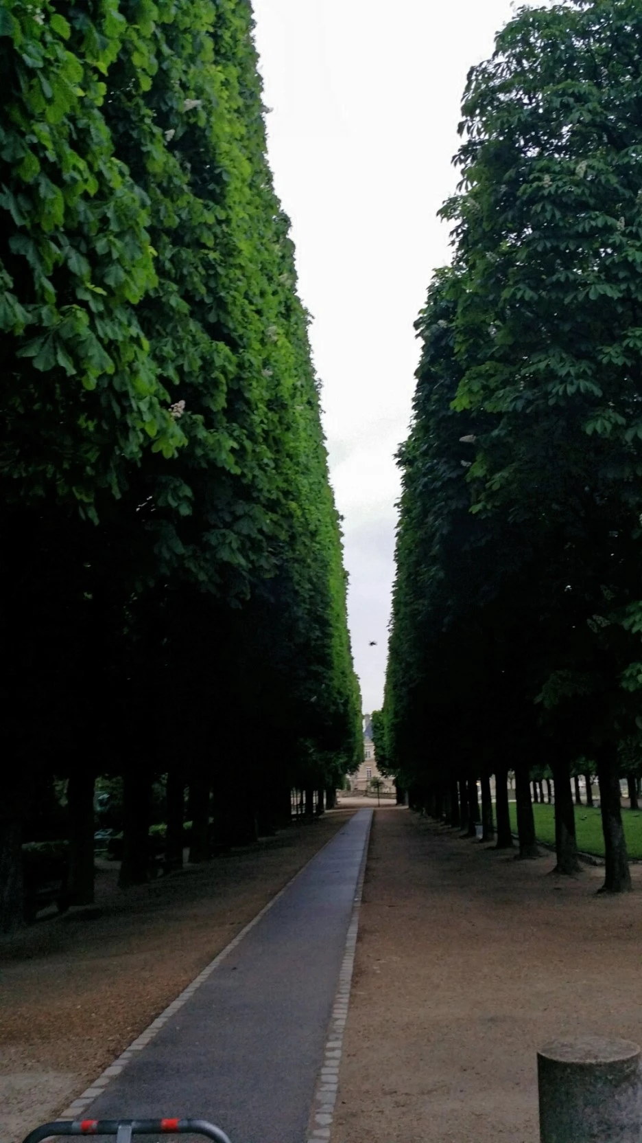 20160510_065809.jpg?type=w1