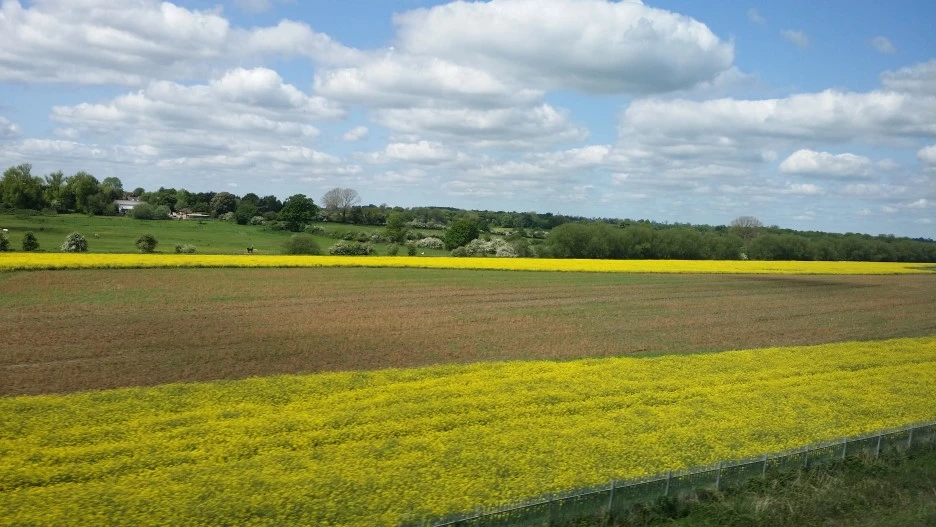 20160524_112821.jpg?type=w1